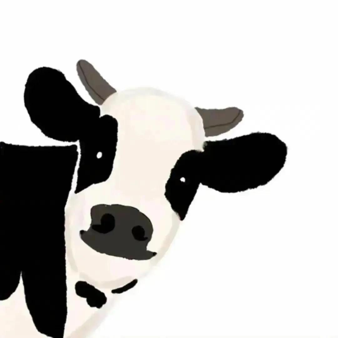 朋友圈相册封面图片,微信朋友圈封面视频