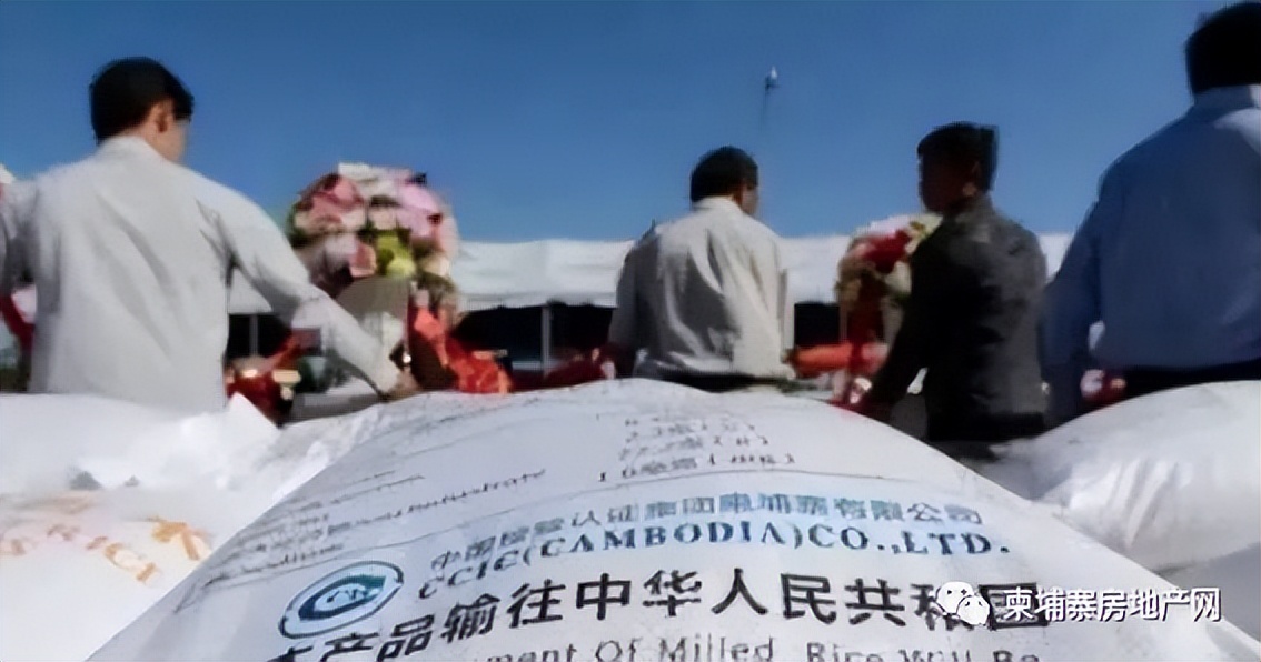 在柬埔寨投资什么最赚钱,柬埔寨最新投资方法