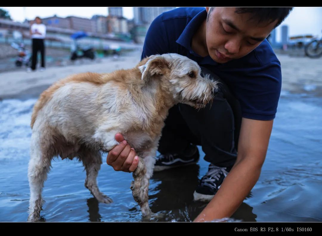 有必要升级佳能R3吗？详细为你分析R3摄影及视频性能