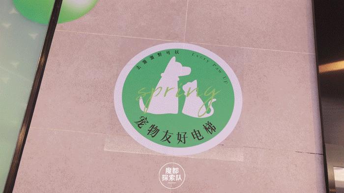 宠物可以进商场吗,宠物能进宠物友好商场吗