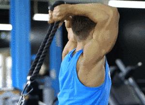 家庭健身房器械如何搭配,健身房器械使用教程女生