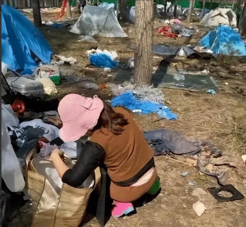 农民药材遭哄抢大哭报警法律解析,农民药材遭哄抢辟谣