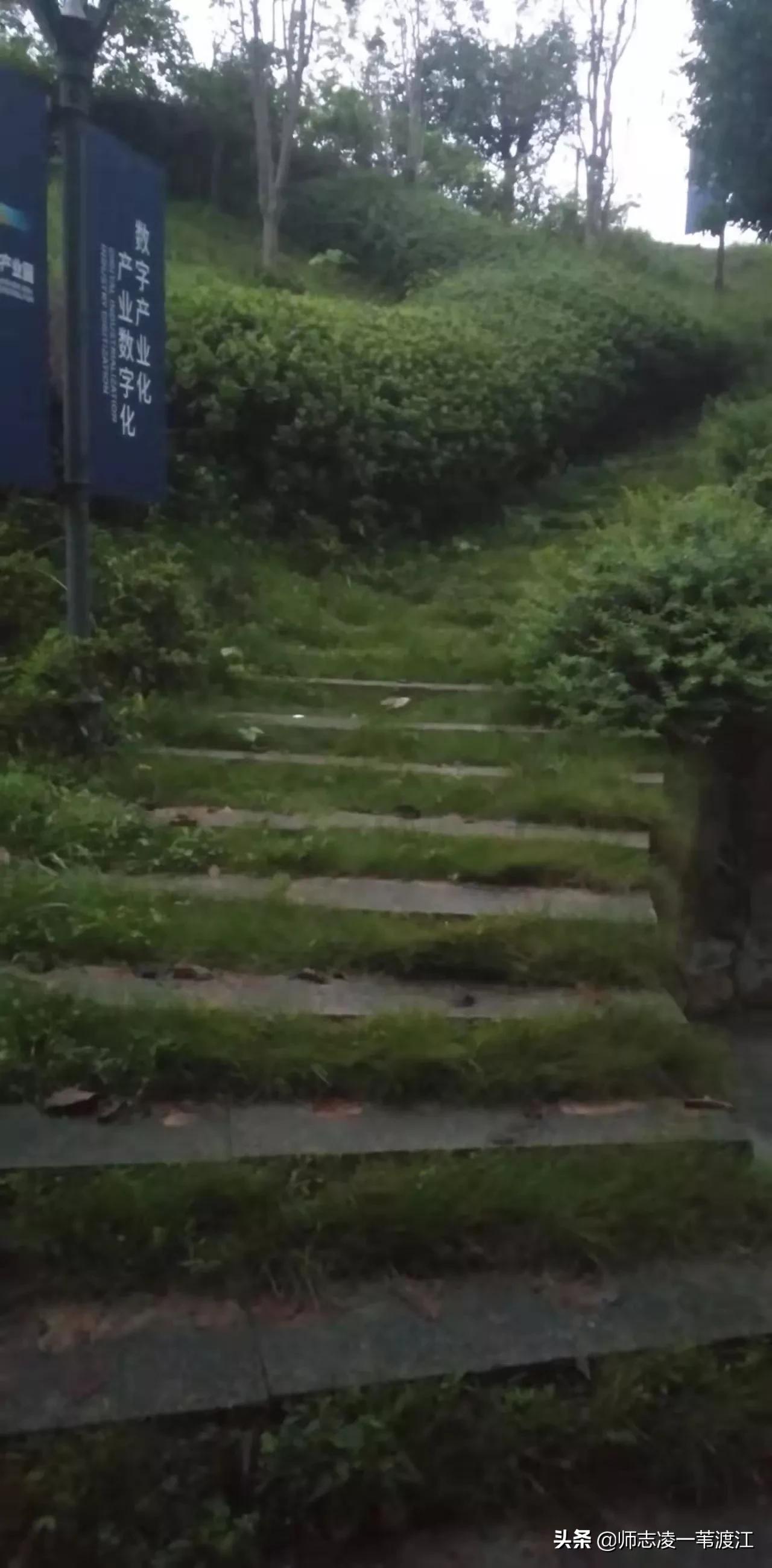 回到重庆的感受,回到重庆的感觉