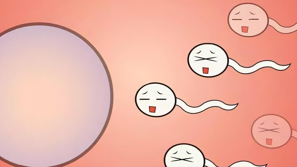 为什么现在不孕症的这么多,不孕症缘何困扰着大龄男女