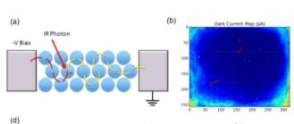 PXG/H13在非共价相互作用下，是如何有效阻止PXG反应的