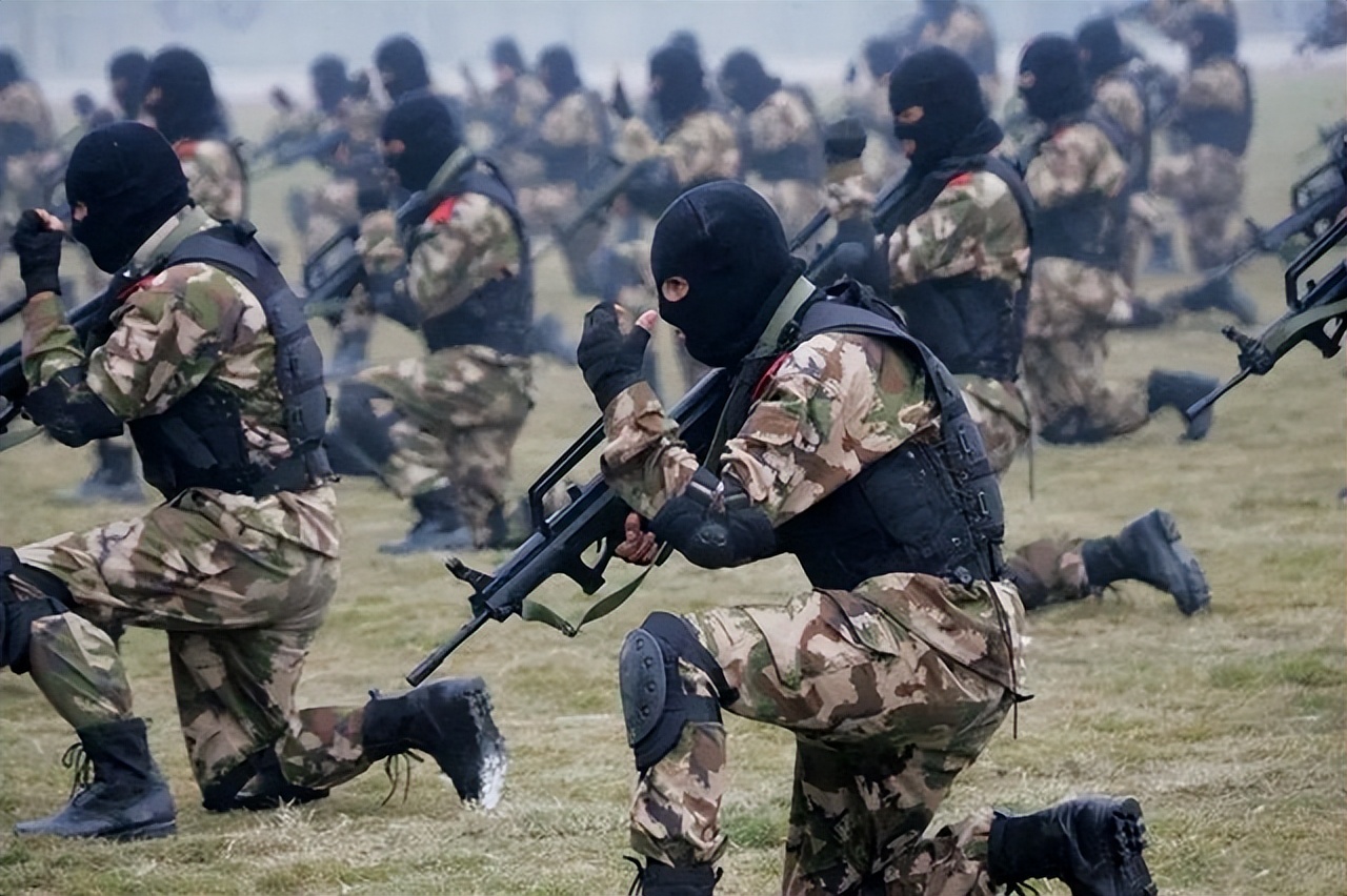 中国十大特种部队兵种,中国十大特种部队有哪些