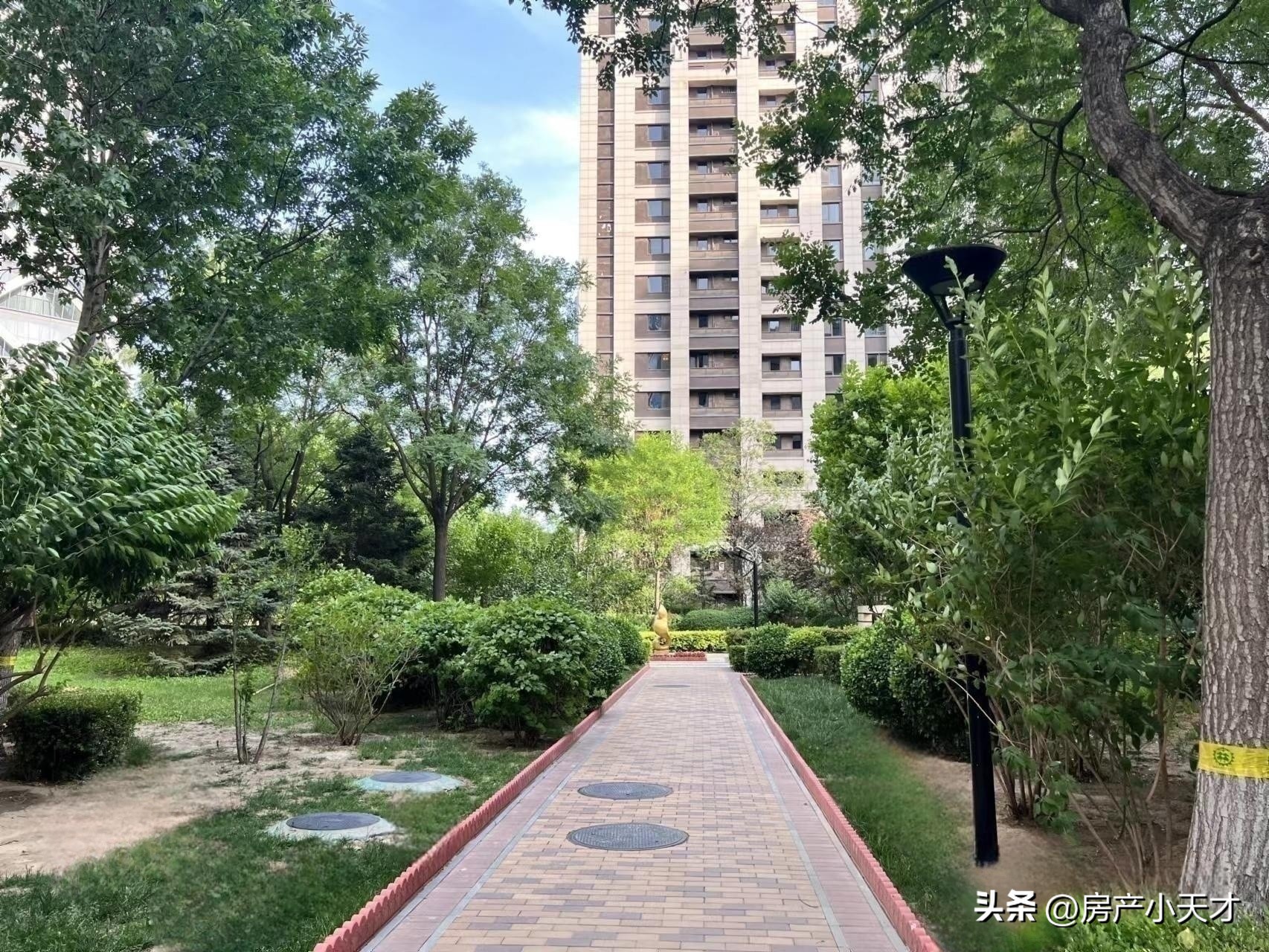 北京望京高档房排名,望京最好的富人区