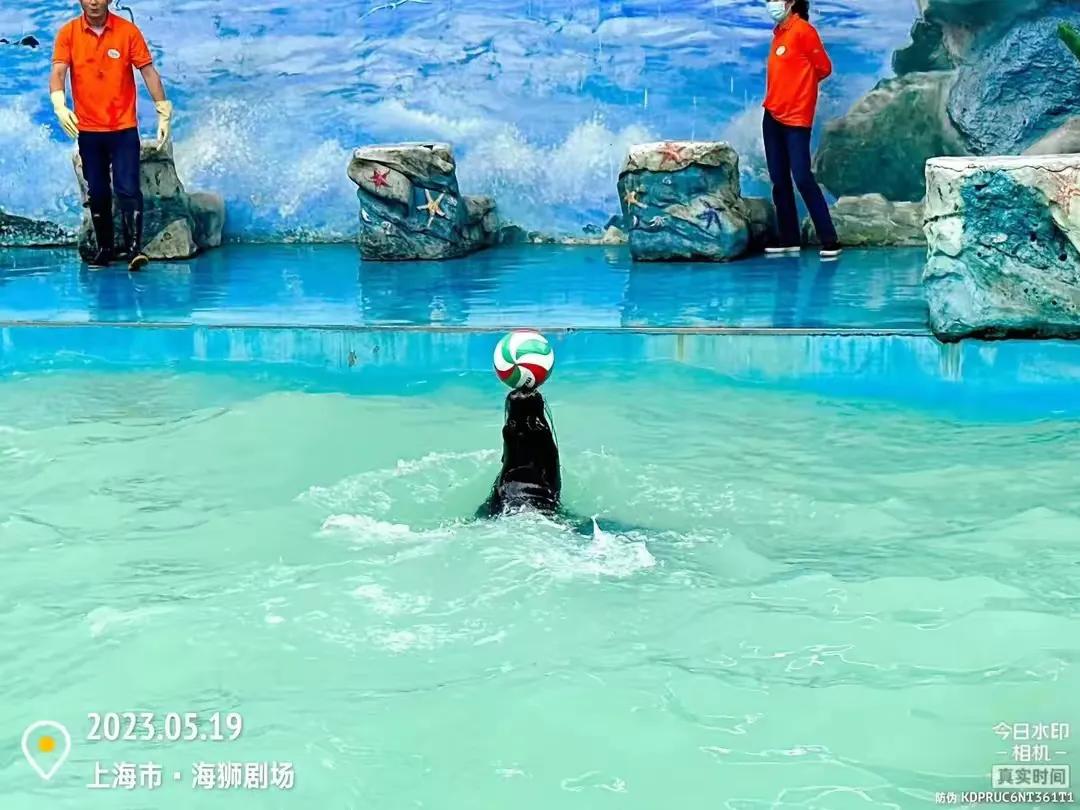 中国最大的野生动物园是哪个城市,中国最大野生动物园