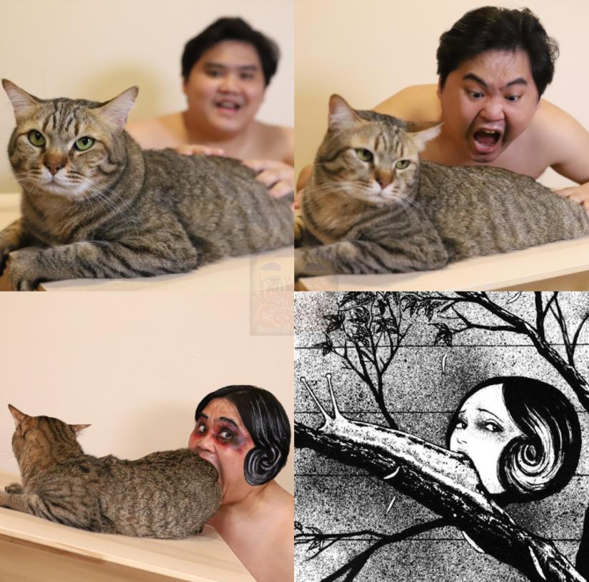 哈哈哈这些猫咪cospaly好怪，再看一眼，还是好怪