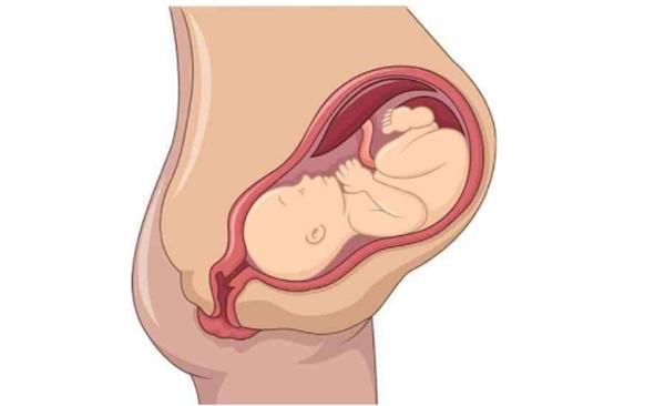 到了孕晚期孕妇是不是都比较焦虑,到了孕晚期孕妇是不是会缺氧