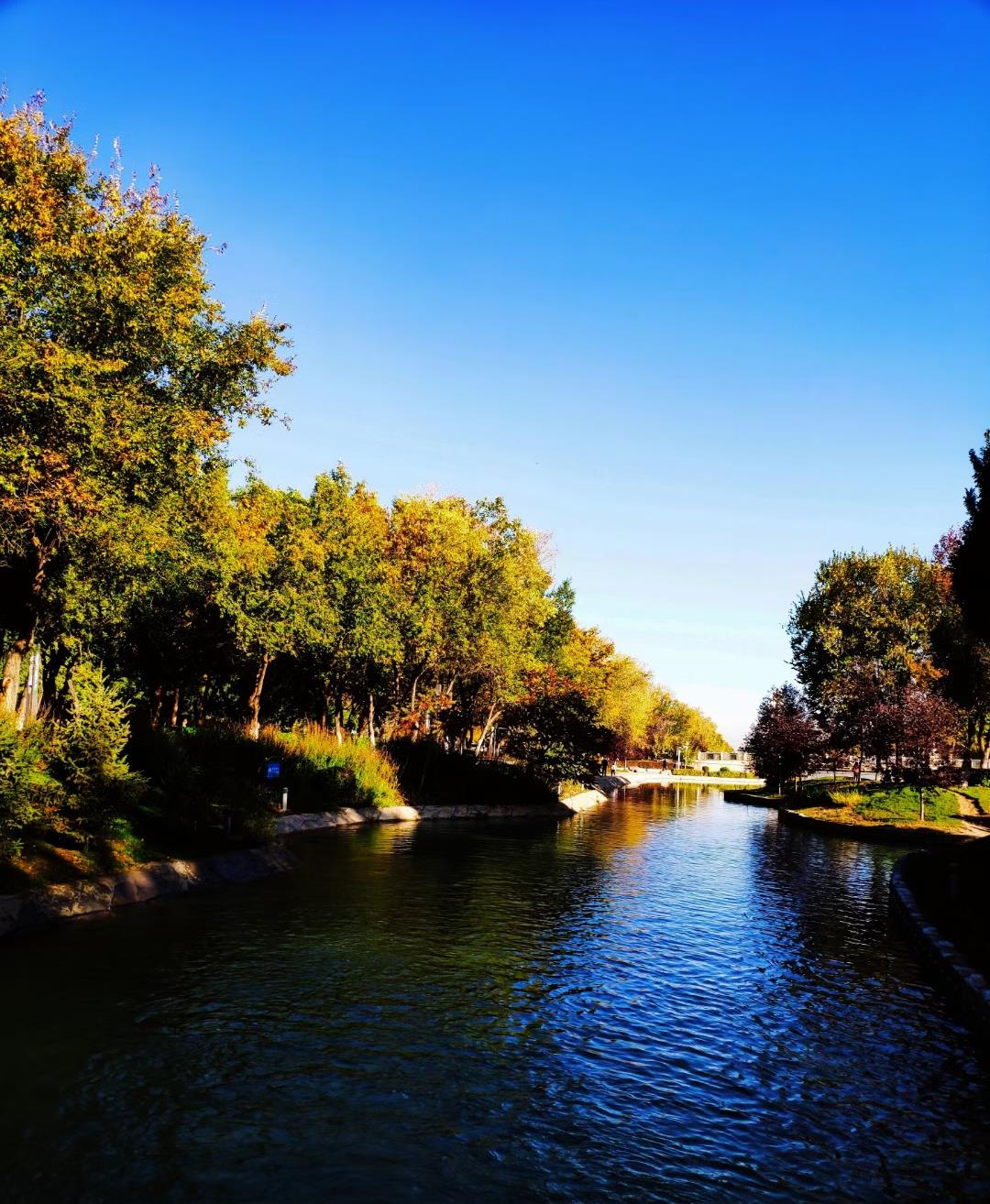 卡塔尔世界杯东道主有什么优势,卡塔尔世界杯预选赛东道主