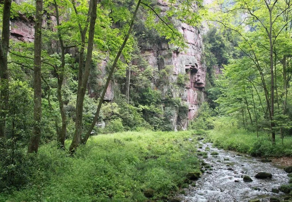 张家界旅游推荐景点大全,张家界武陵源旅游攻略最新