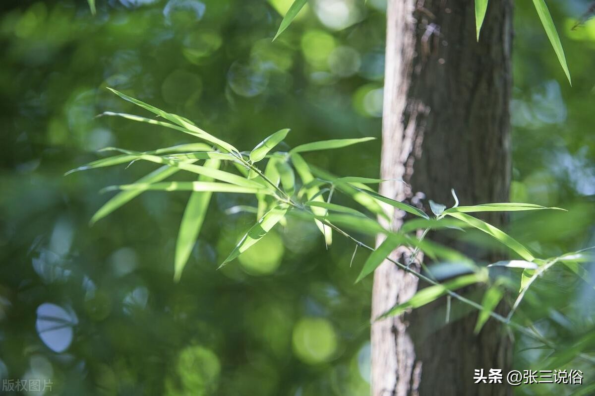 2023年几月几日入伏三伏共多少天,2023年三伏是几号到几号