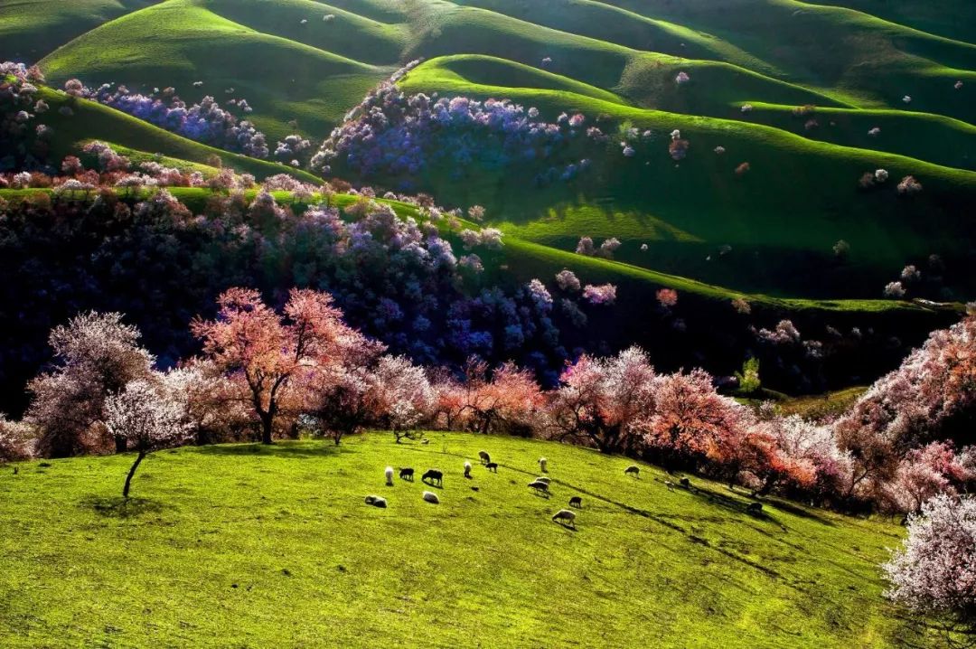 三月的春光孕育着勃勃生机,三月的春光无限美