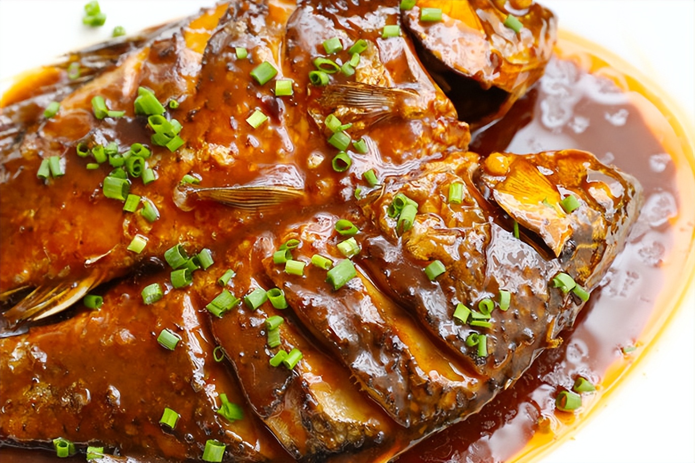 土鲫板鲫工程鲫,买鲫鱼大的好还是小的好