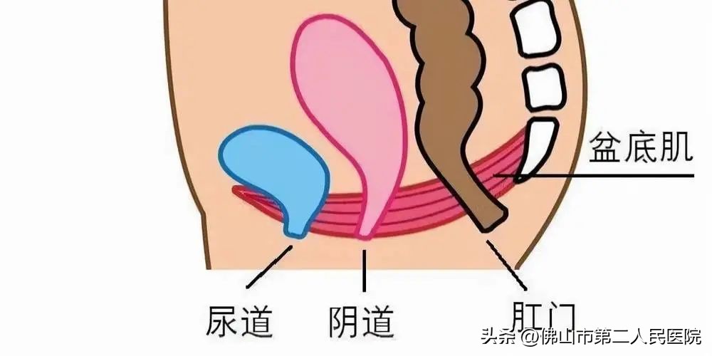 女性尿路感染日常注意,女性尿路感染需要注意哪些