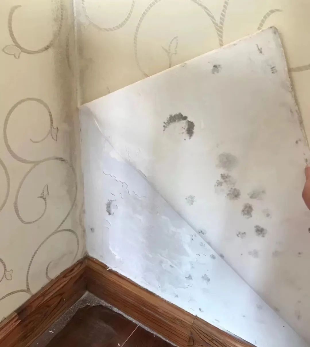 儿童房五平方,儿童房装不装