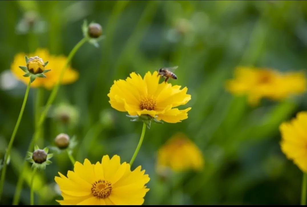 如何让自己焦躁的心情平和下来,怎么做才能让自己更快乐