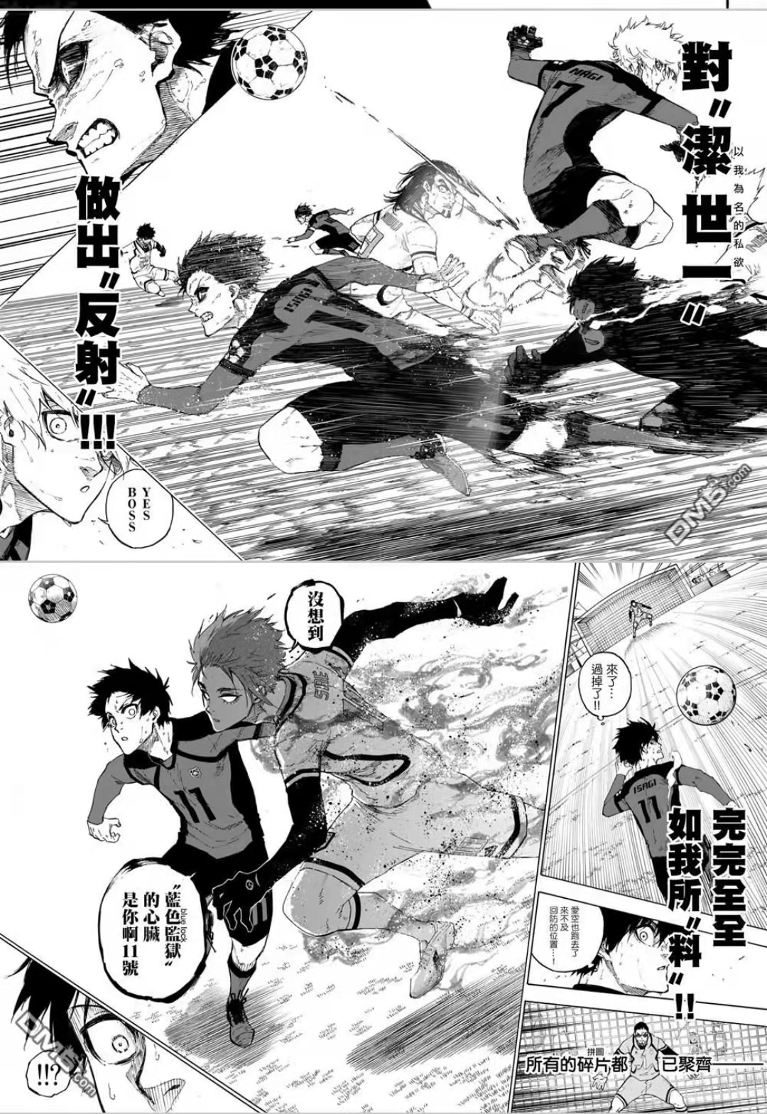 青之芦苇和bluelock哪里可以看,bluelock和青之芦苇