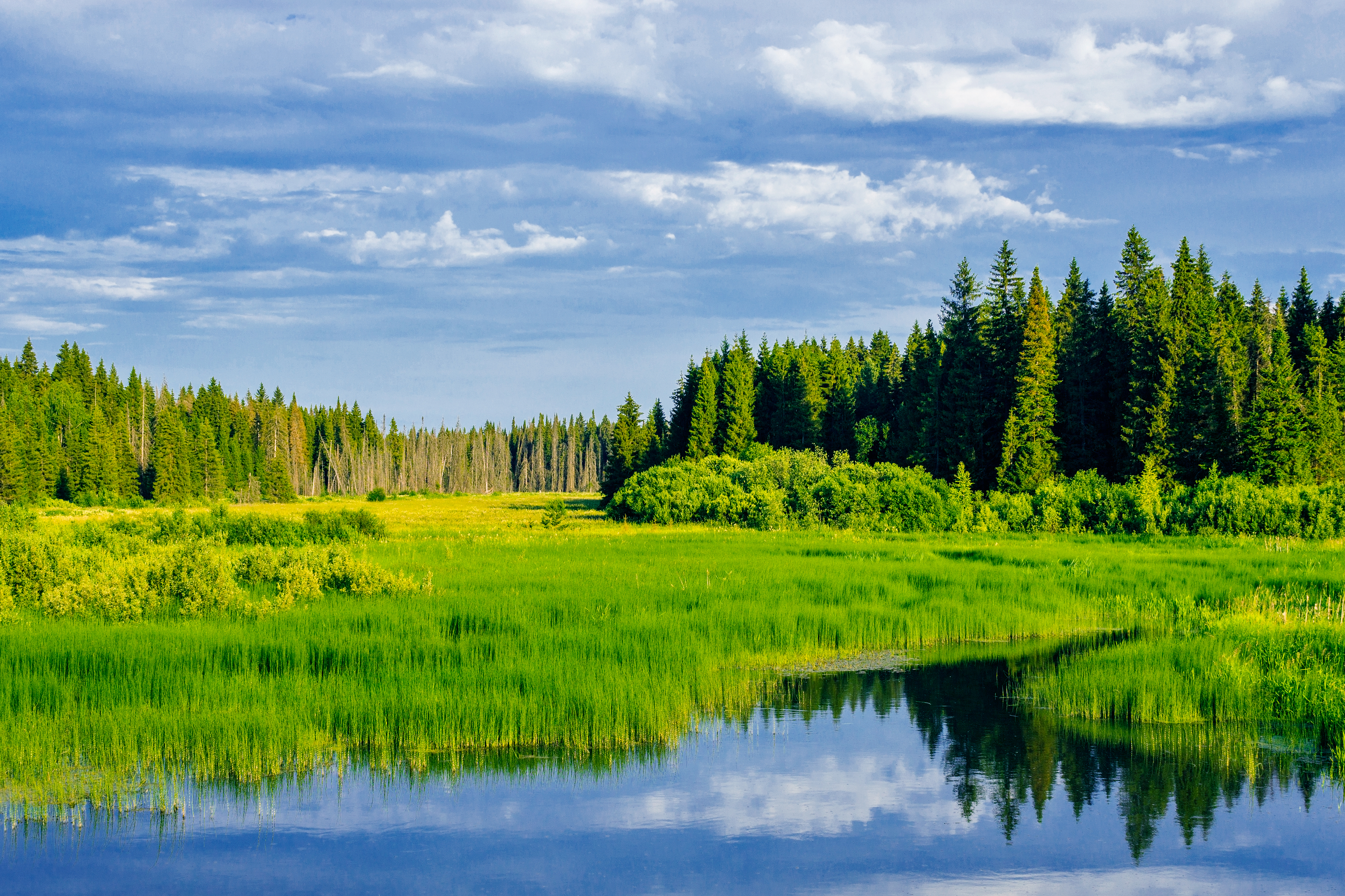 关于春天的100首经典诗词,十首诗词最懂春天的美