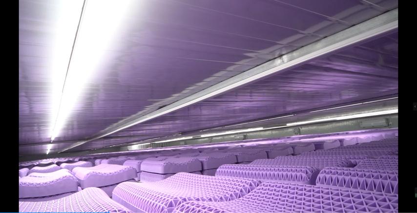 清华学霸卖枕头卖了一个亿,拒绝假洋品牌