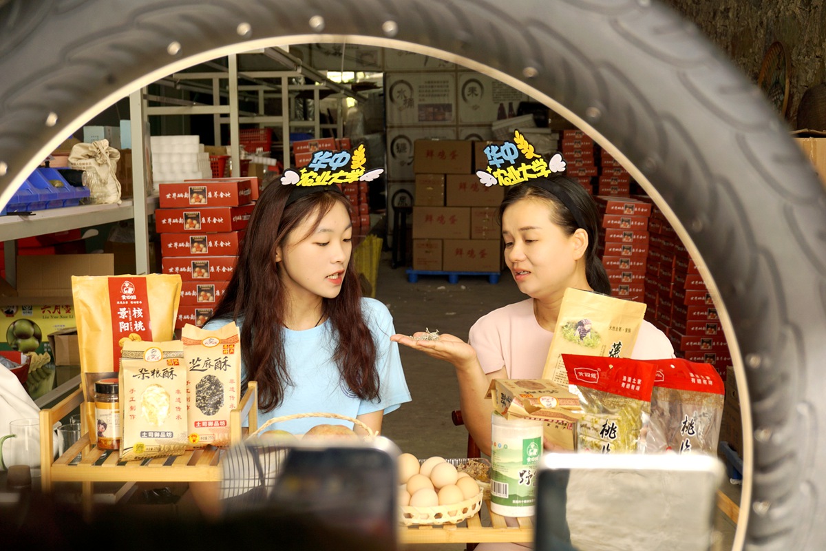 辛巴助力贫困学子圆梦象牙塔，华中农大直播助农走进乡村田间地头