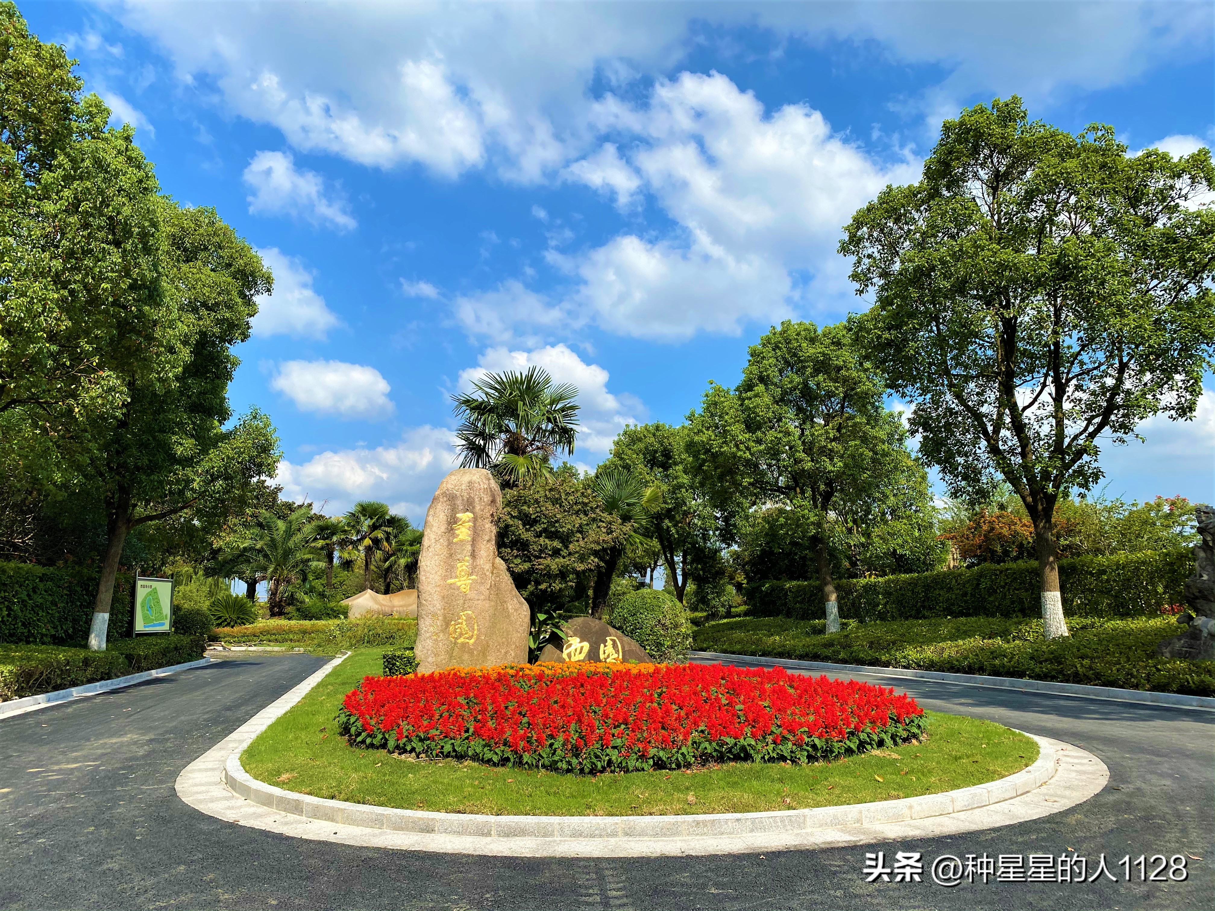 订墓碑需要提供什么信息,陪朋友去扫墓买什么