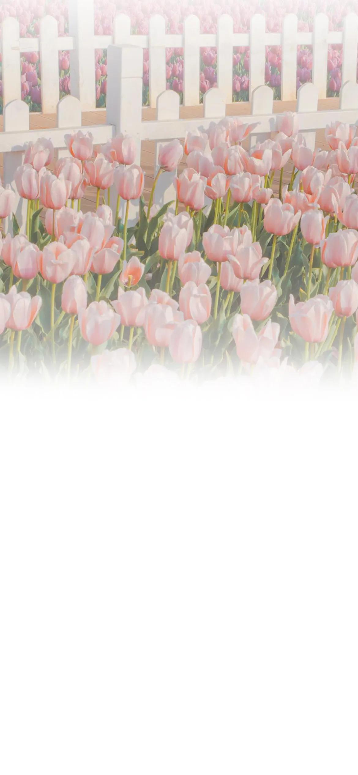 微信聊天背景渐变图,聊天背景壁纸图片彩色渐变