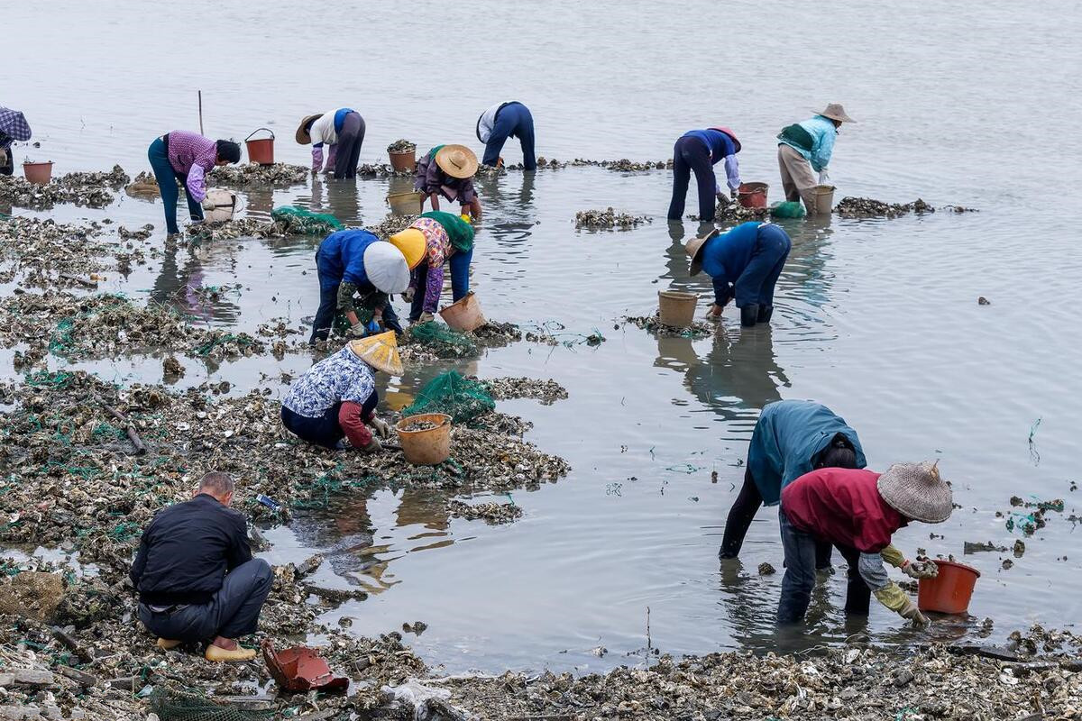 吃海鲜便宜的旅游胜地,最值得去的海鲜自助