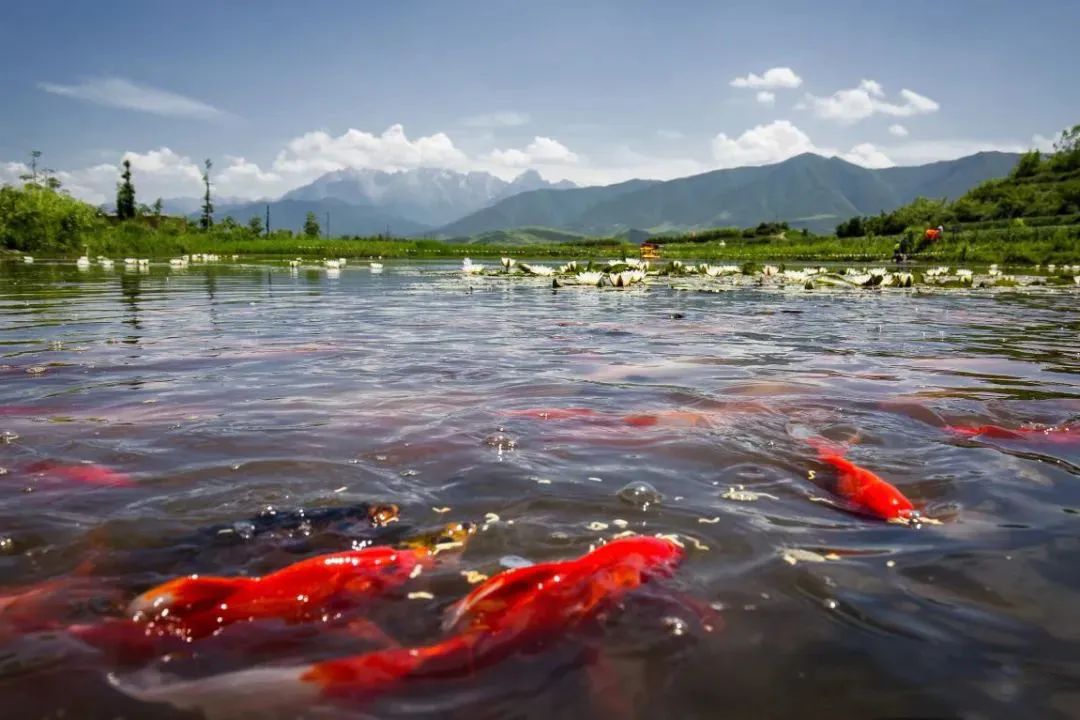 速收！兰州出发，临夏太子山旅游大通道及3-5日大环线自驾游攻略！