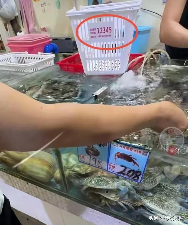 三亚的黑心海鲜市场,博主曝光三亚海鲜市场五两秤