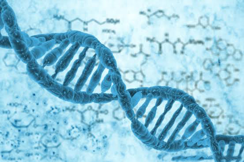 驴和马是杂交育种吗,马和驴生出的骡子是杂交吗