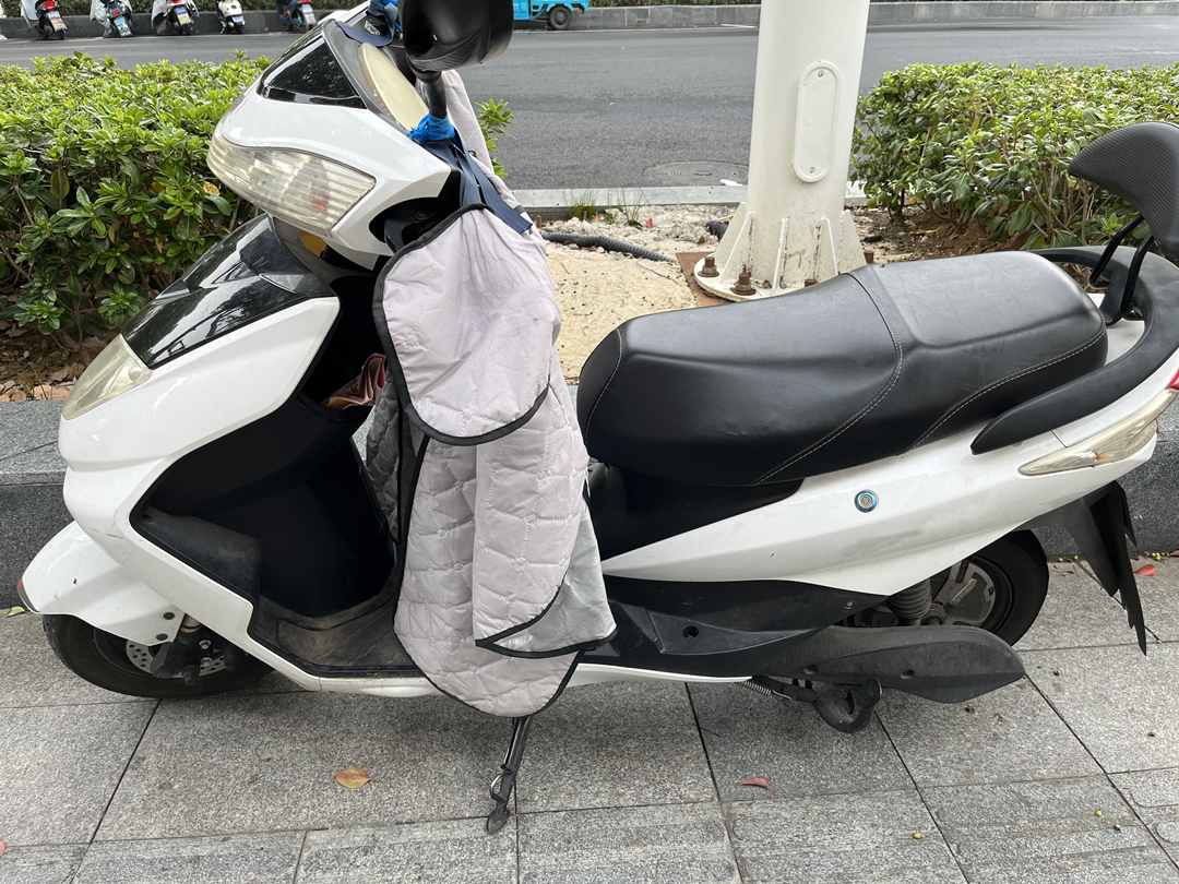 普通电动车哪个牌子性价比高,2000-3000电动车型号推荐排行榜