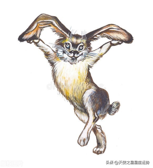 2022年1月10日十二星座每日运势,2022.6.10日十二星座运势