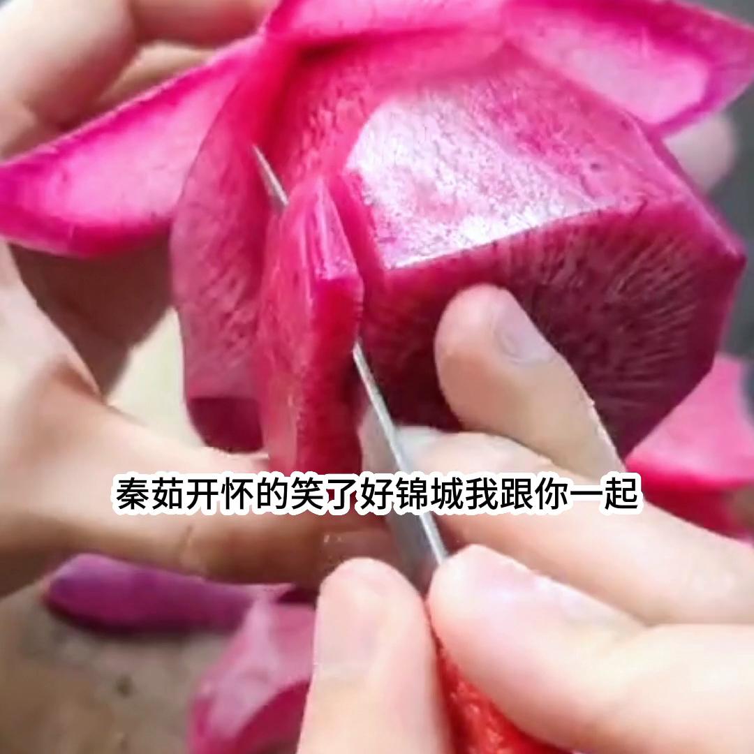 文荒推文一口气看完,文荒推文甜文