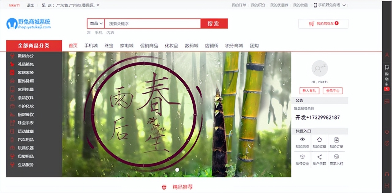 在线商城网站建设,商城网站建设软件开发