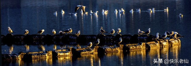 大连老虎滩,大连老虎滩和圣亚海洋馆哪个好