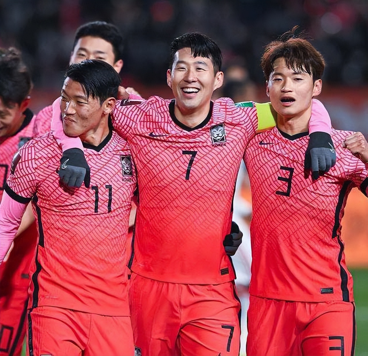 老鹰和狮子谁会赢,老鹰和狮子战斗视频