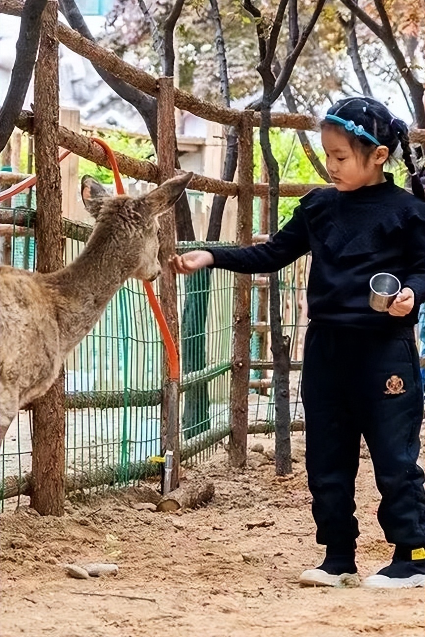 周末遛娃的好去处好玩又免费济南,夏季济南适合遛娃的地方