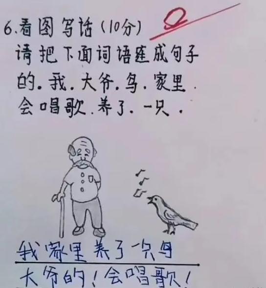 盘点小学生爆笑看图写话,小学生看图写话搞笑