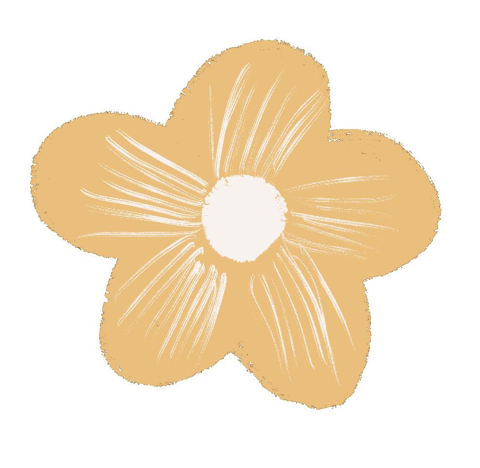 安顺城区候机楼,安顺市候机楼