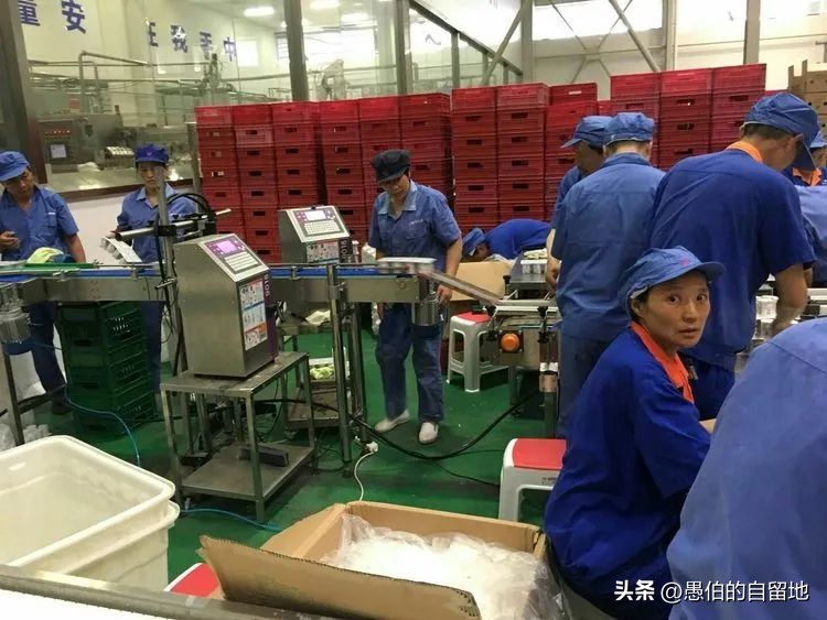 大哥，如果你走了，扔下孤苦伶仃的妹妹，我该怎么活下去？