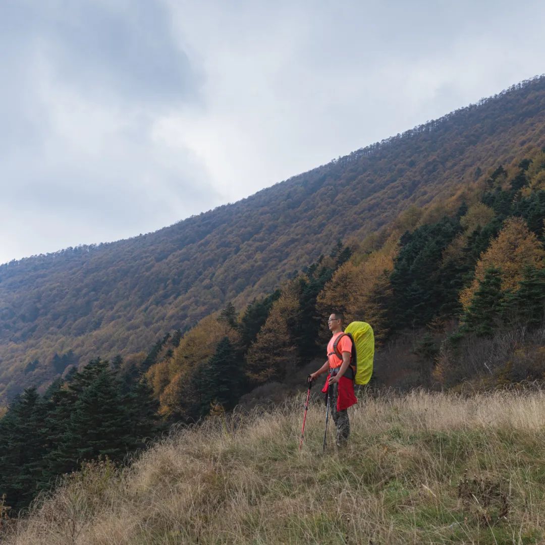 登太白山感受,太白山景区登顶拔仙台