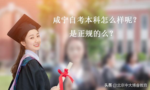 中大博睿教育咨询有限公司,中大博睿教育咨询电话