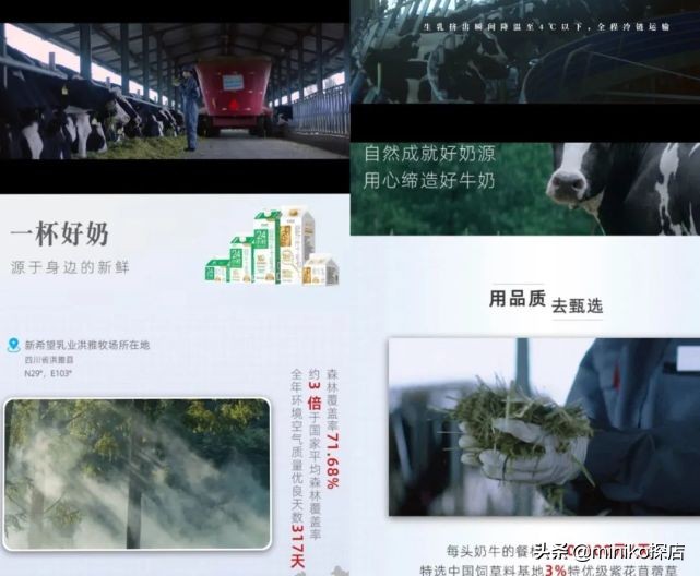 良心推荐十款鲜牛奶,好的鲜牛奶推荐