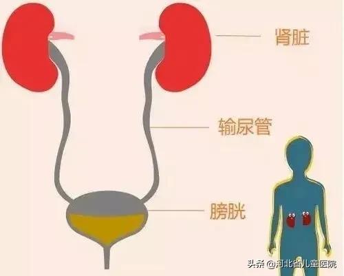 警惕“三高”之外的第四“高”