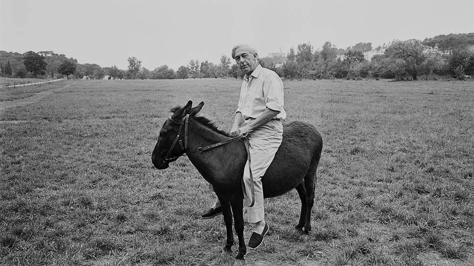 关于驴的电影大全,关于驴的电影解说