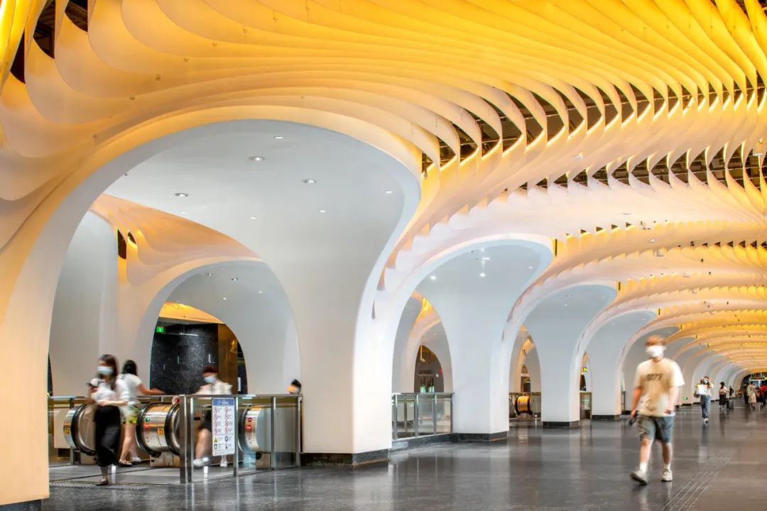 上海市白玉兰荣誉奖,上海白玉兰荣誉奖2020