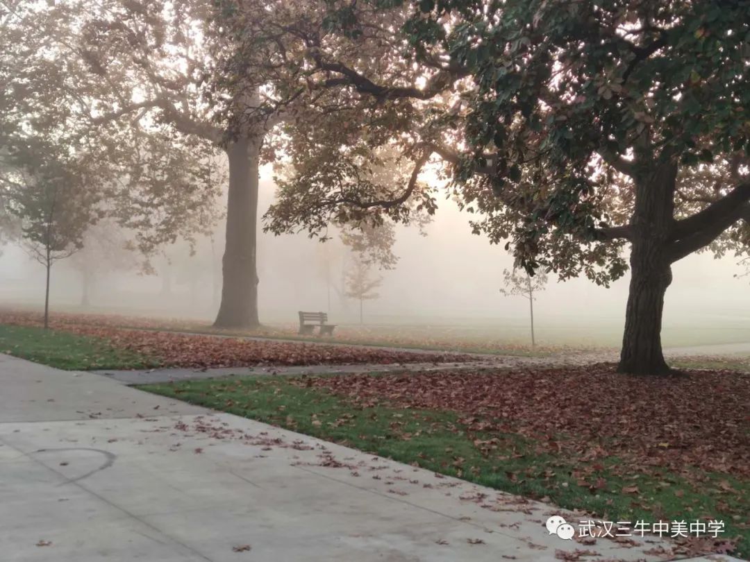 三牛毕业生分享②|人气学长告诉你，他眼中的OSU大一初体验