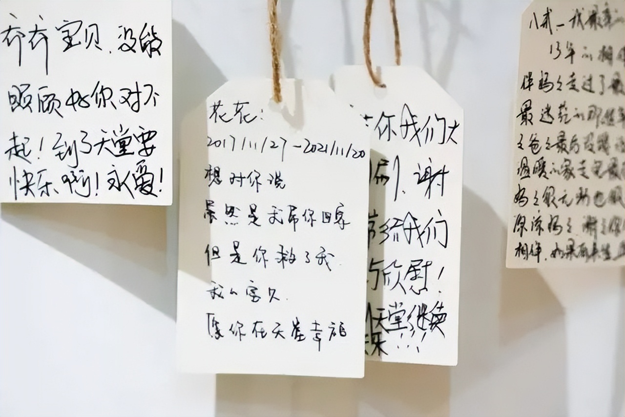 未来最冷门可能赚大钱的行业,2个冷门利润高的生意